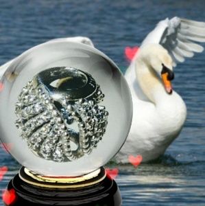 New Genuine Pandora Majestic Feathers Charm